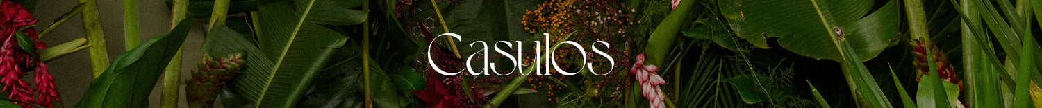 Casulos