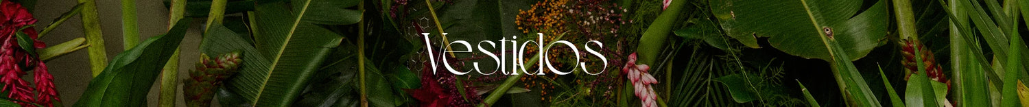 Vestidos